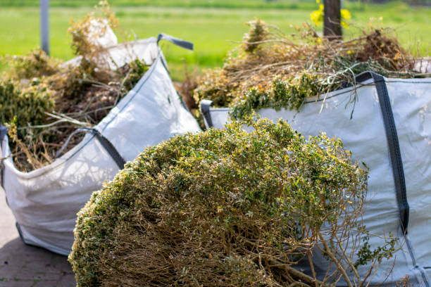 Yard Cleanup Services in Upper Lake, CA