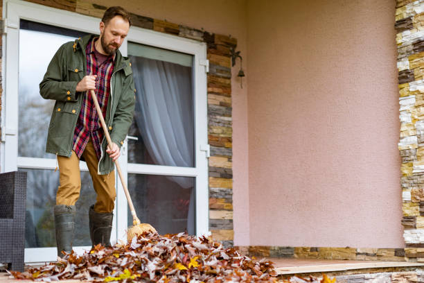 Best Household Junk Removal  in Upper Lake, CA